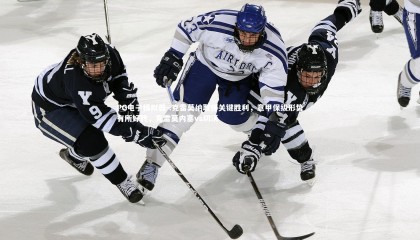 PG电子模拟器-.克雷莫纳取得关键胜利，意甲保级形势有所好转，克雷莫内塞vs切沃